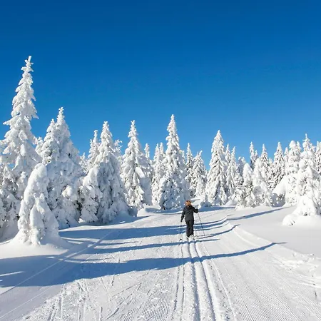 Ferienhauspark بيت للعطل