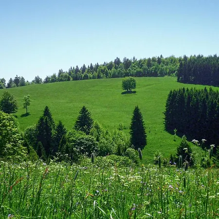 Ferienhauspark * هاسلفيلد